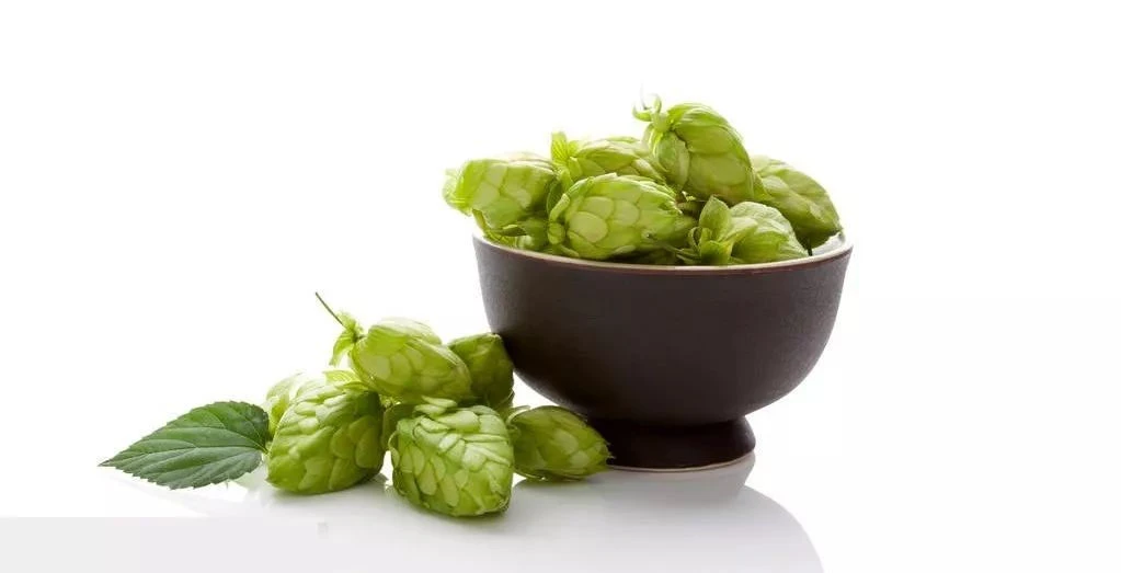 hops hops