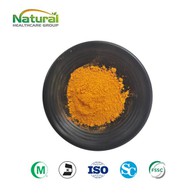 Púdar Sliocht Curcumin