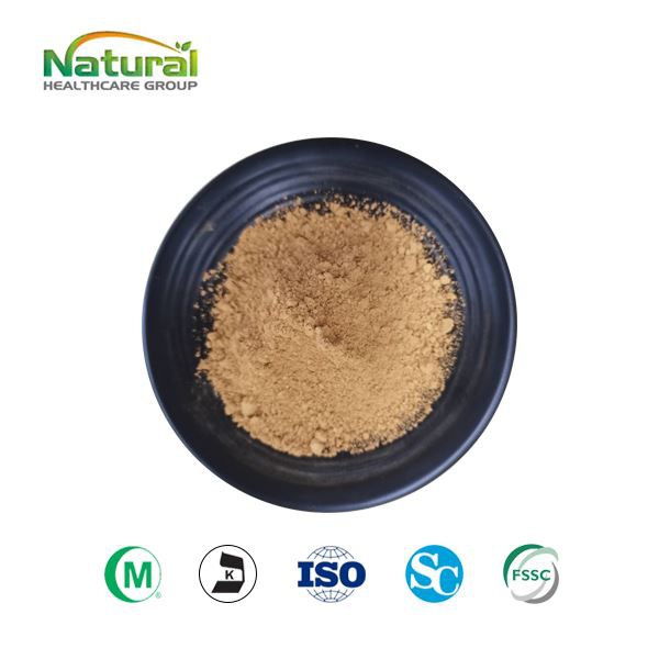 Púdar Chestnut Capall