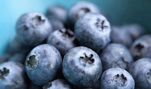 Conas Sliocht Blueberry a Dhéanamh?