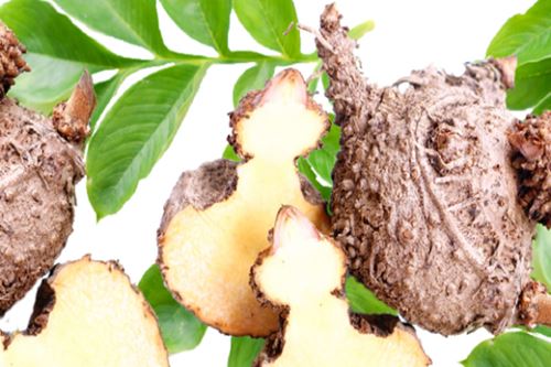 Ionchas Forbartha Konjac Glucomannan